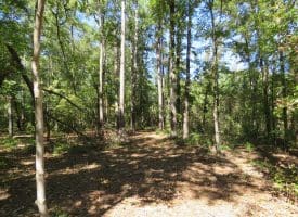 SOLD! 59+/- Acres of Recreational and Residential Land For Sale in Pender County NC!