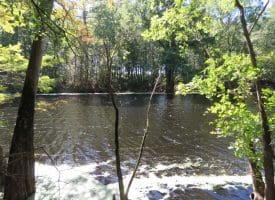 SOLD! 59+/- Acres of Recreational and Residential Land For Sale in Pender County NC!