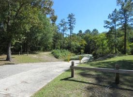 SOLD! 59+/- Acres of Recreational and Residential Land For Sale in Pender County NC!