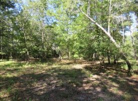 SOLD! 59+/- Acres of Recreational and Residential Land For Sale in Pender County NC!