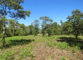 SOLD! 59+/- Acres of Recreational and Residential Land For Sale in Pender County NC!