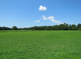 10+/- Acres For Sale in Columbus County NC!