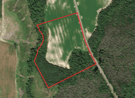 25+/- Acres of Farm and Timber Land For Sale in Robeson County, NC