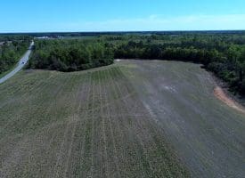 25+/- Acres of Farm and Timber Land For Sale in Robeson County, NC