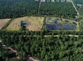 100 +/- Acres Shelter Creek Hunting Club For Sale in Pender County NC!