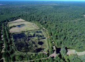 100 +/- Acres Shelter Creek Hunting Club For Sale in Pender County NC!