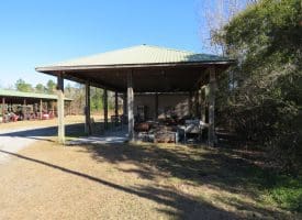 100 +/- Acres Shelter Creek Hunting Club For Sale in Pender County NC!