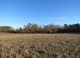 25+/- Acres of Farm and Timber Land For Sale in Robeson County, NC