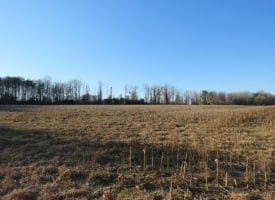 25+/- Acres of Farm and Timber Land For Sale in Robeson County, NC