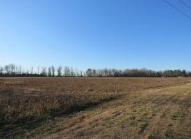 25+/- Acres of Farm and Timber Land For Sale in Robeson County, NC