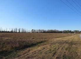 25+/- Acres of Farm and Timber Land For Sale in Robeson County, NC