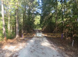 100 +/- Acres Shelter Creek Hunting Club For Sale in Pender County NC!