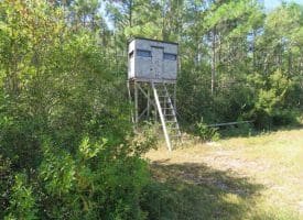 100 +/- Acres Shelter Creek Hunting Club For Sale in Pender County NC!