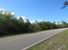 SOLD!! 19.72 Acres of Residential Land For Sale in Carteret County NC!