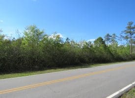 SOLD!! 19.72 Acres of Residential Land For Sale in Carteret County NC!