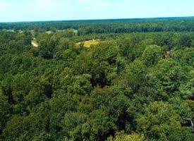 SOLD!!  5 Acres of Residential and Hunting Land For Sale in Brunswick County NC!