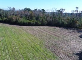 SOLD!! 23 Acres of Farm and Timber Land For Sale in Sampson County NC!