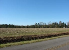 SOLD!! 40 Acre Farm for Sale in Brunswick County NC!