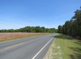 SOLD!!  91 Acres of Farm and Timber Land For Sale in Robeson County NC!