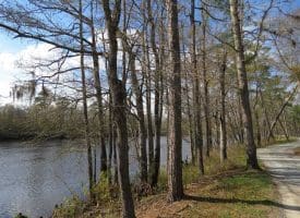 SOLD!!  21 Acres of Residential and Hunting Land in Pender County NC!