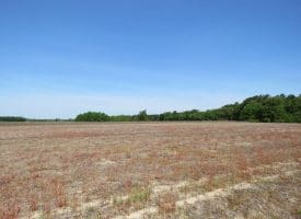 SOLD!!  91 Acres of Farm and Timber Land For Sale in Robeson County NC!