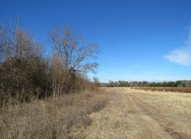 SOLD!!  70 Acres of Farm and Timber Land For Sale in Hoke County NC!