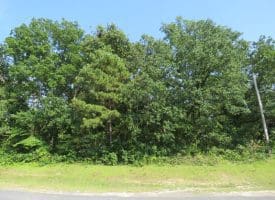 SOLD!! 25 Acres of Timber Land For Sale in Hoke County NC!
