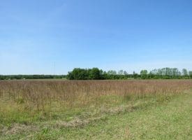 SOLD!!  91 Acres of Farm and Timber Land For Sale in Robeson County NC!