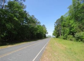 SOLD!!  91 Acres of Farm and Timber Land For Sale in Robeson County NC!