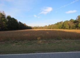 SOLD!  112 Acres of Farm and Recreational Land For Sale in Robeson County NC!