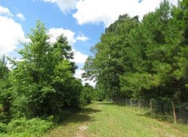 SOLD!!  8 Acres of Residential and Hunting Land For Sale in Brunswick County NC!