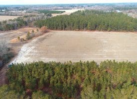 SOLD!!  89 Acres of Timber and Farm Land For Sale in Hoke County NC!