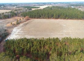 SOLD!!  89 Acres of Timber and Farm Land For Sale in Hoke County NC!