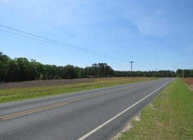 SOLD!!  91 Acres of Farm and Timber Land For Sale in Robeson County NC!