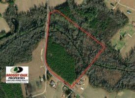 SOLD!!  26 Acres of Timber Land For Sale in Robeson County NC!