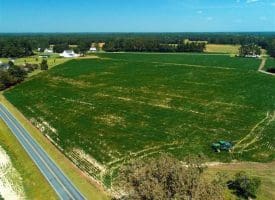 SOLD!!  15 Acres of Farm Land For Sale in Robeson County NC!