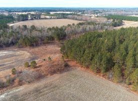 SOLD!!  89 Acres of Timber and Farm Land For Sale in Hoke County NC!