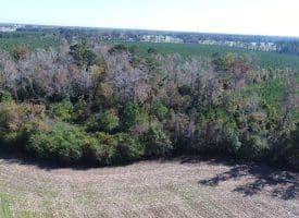 SOLD!! 23 Acres of Farm and Timber Land For Sale in Sampson County NC!