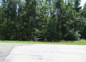 SOLD!!  5 Acres of Residential and Hunting Land For Sale in Brunswick County NC!