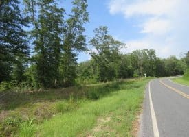 SOLD!!  70 Acres of Farm and Timber Land For Sale in Scotland County NC!