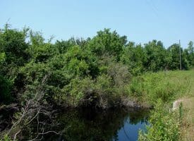 SOLD!! 71 Acres of Hunting Land For Sale in Bladen County NC!