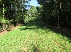 SOLD!!  28 Acres of Hunting Land For Sale in Pender County NC!