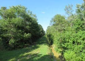 SOLD!!  28 Acres of Hunting Land For Sale in Pender County NC!