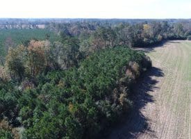 SOLD!! 23 Acres of Farm and Timber Land For Sale in Sampson County NC!