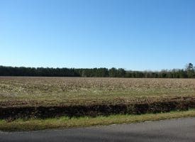 SOLD!! 40 Acre Farm for Sale in Brunswick County NC!