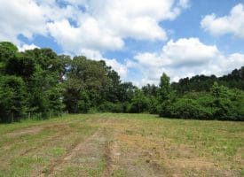 SOLD!!  8 Acres of Residential and Hunting Land For Sale in Brunswick County NC!