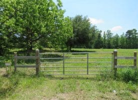 SOLD!! 26 Acres of Farm and Timber Land with Home Site For Sale in Bladen County NC!