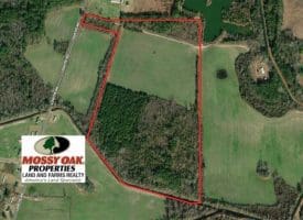SOLD!!  55 Acres of Farm and Timber Land For Sale in Robeson County NC!