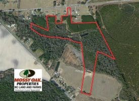 SOLD!  43 Acres of Hunting and Timber Land For Sale in Columbus County NC!