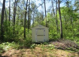 SOLD!!  9 Acres of Residential and Hunting Land in Pender County NC!